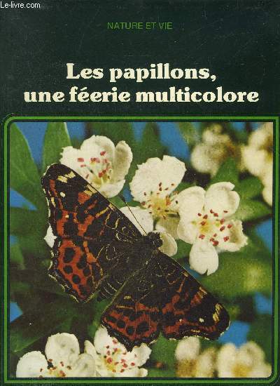 LES PAPILLONS UNE FEERIE MUTLICOLORE.