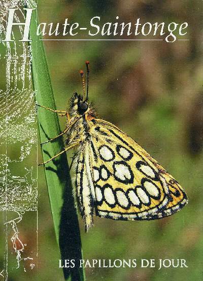 LES PAPILLONS DE JOUR DE HAUTE SAINTONGE.