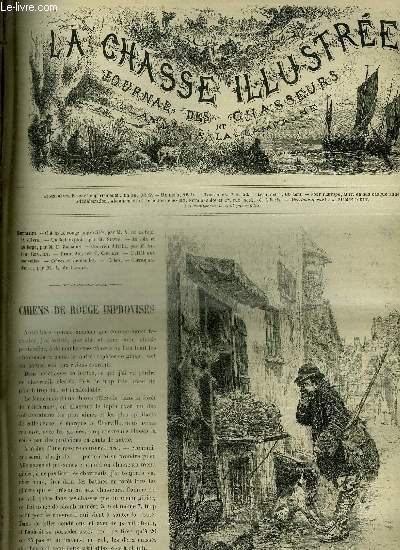 LA CHASSE ILLUSTREE N 15 Chiens de rouge improvises par De La Rue ( suivre) - un bel exploit par Silvio - au loin et au large par Frechon - courrier d'Italie par Renault - pronostic par Colleau - correspondance par L. de Lunden.