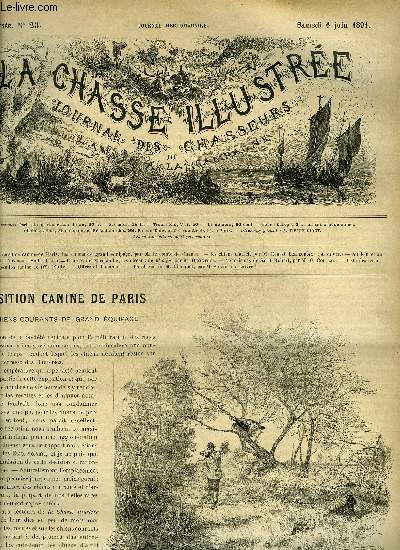 LA CHASSE ILLUSTREE N 23 Exposition canine de Paris les chiens de grand quipage par Le comte de Chabot - les chiens d'arrt par Bellecroix - au loin et au large par Frechon (suite et fin) - chasses de Normandie les oiseaux de plonge par Decinthel etc.