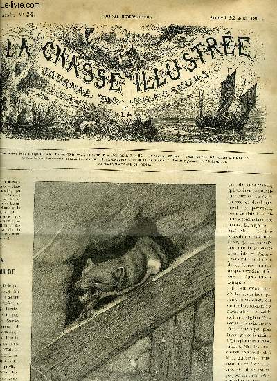 LA CHASSE ILLUSTREE N 34 A la billebaude par Silvio - chasses de Normandie par Decinthel - l'art de poser les lapins par Lallemand - la chasse et le gibier le chien le fusil - chasse et yachting par M.H de P. - la fille du garde par Ambaloges.