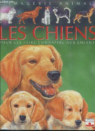 LES CHIENS POUR LES FAIRE CONNAITRE AUX ENFANTS.