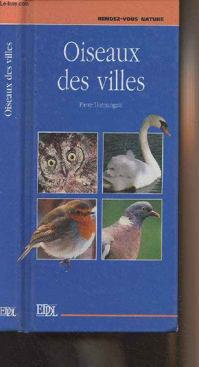 Oiseaux des villes - Rendez-vous nature