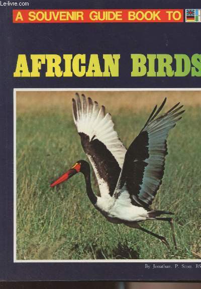 African Birds