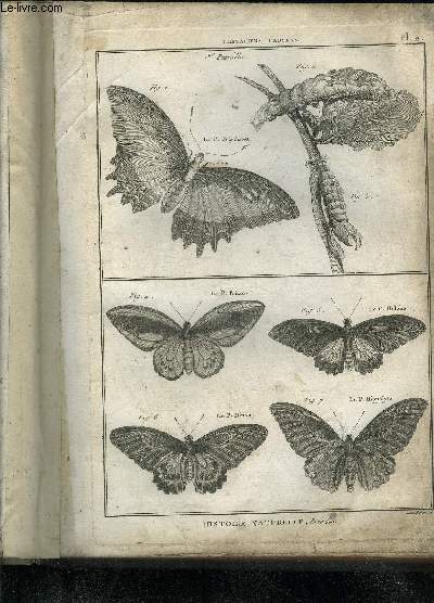 149 PLANCHES ORIGINALES EN NOIR ET BLANC EXTRAITES DE L'ENCYCLOPEDIE HISTOIRE NATURELLE (INSECTES PAPILLONS) DE DIDEROT ET D'ALEMBERT .