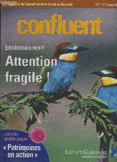 CONFLUENT N47 MARS 2001 - Asso 47 le ssame des associations - retour en images sur le premier village des mtiers manuels - elections cantonales mode d'emploi - embarquement sur la compagnie air muse - l'environnement est l'affaire de tous etc.