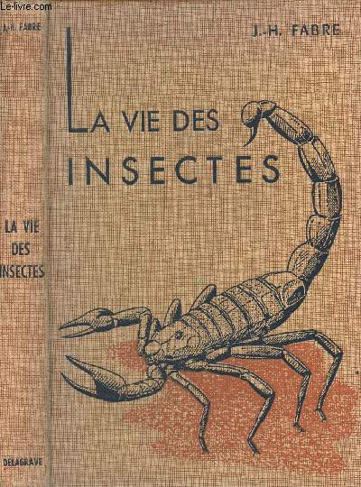 La vie des insectes