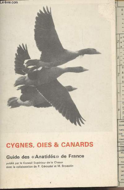 Cygnes, oies & canards - Guide des 