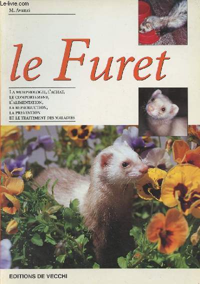 Le Furet : la morphologie, l'achat, le comportement, l'alimentation, la reproduction, la prvention et le traitement des maladies