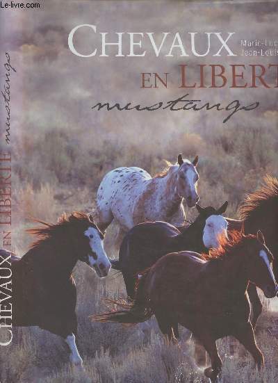 Chevaux en libert, Mustangs