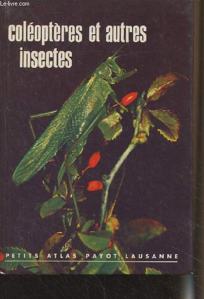 Coloptres et autres insectes - 