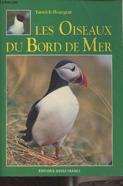 Les oiseaux du bord de mer