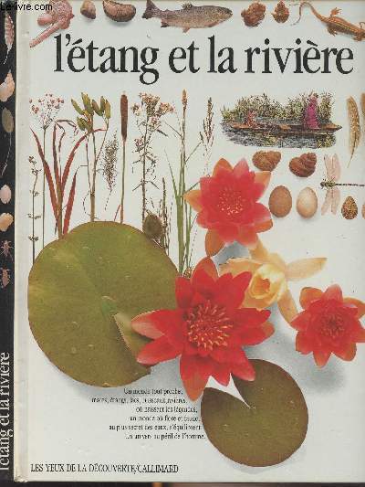 L'tang et la rivire - 