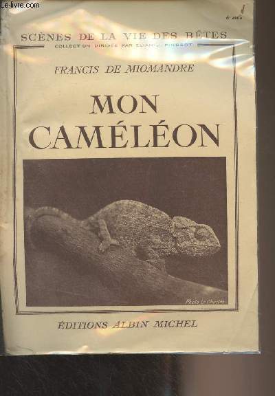 Mon camlon - 