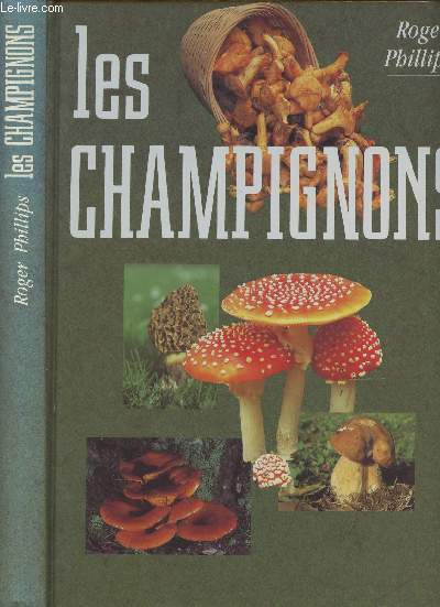 Les champignons