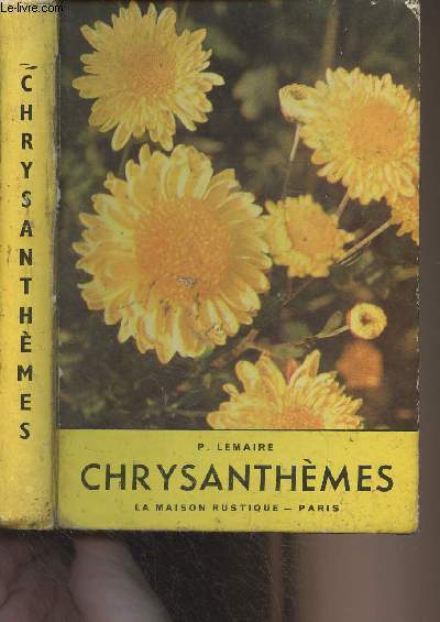 Chrysanthmes