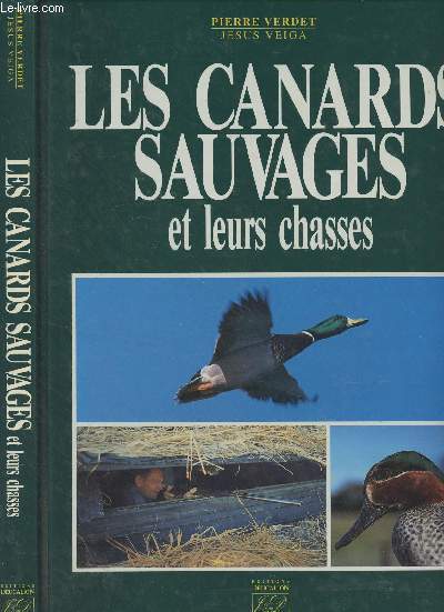 Les canards sauvages et leurs chasses