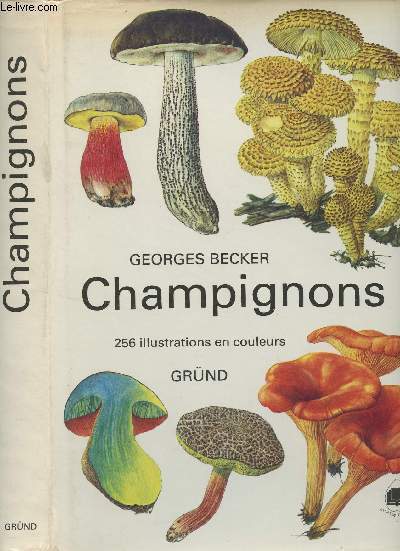 Champignons - 