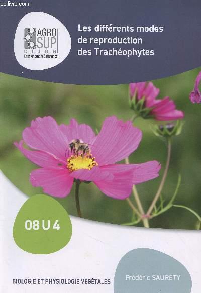Les diffrents modes de reproduction des Trachophytes - Biologie et physiologie vgtales