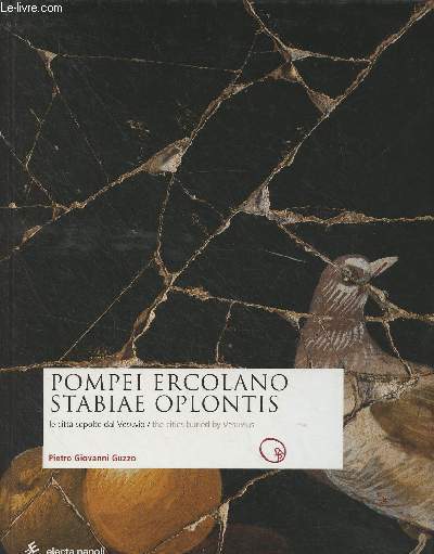 Pompei ercolano stabiae oplontis - La citt sepolte dal vesuvio