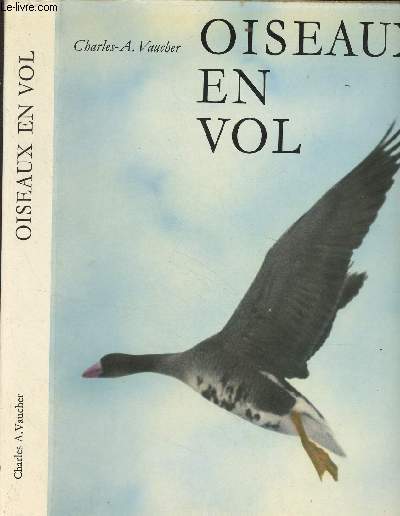 Oiseaux en vol - Collection 