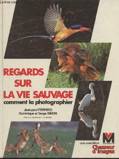 Regards sur la vie sauvage, comment la photographier