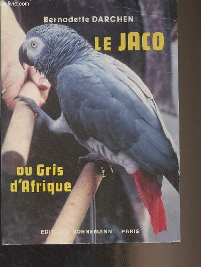 Le jaco ou gris d'Afrique