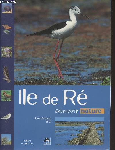 Ile de R - 