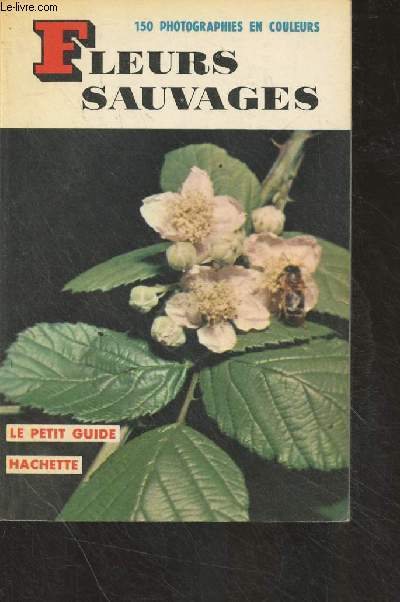 Fleurs sauvages - 