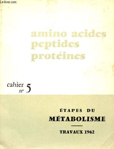ETAPES DU METABOLISME - CAHIER N°5 - TRAVAUX 1962 - AMINO ACIDES PEPTIDES PRO... - Afbeelding 1 van 1