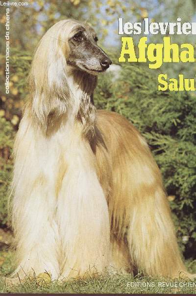 LES LEVRIERS AFGHAN ET SALUKI - COLLECTION 