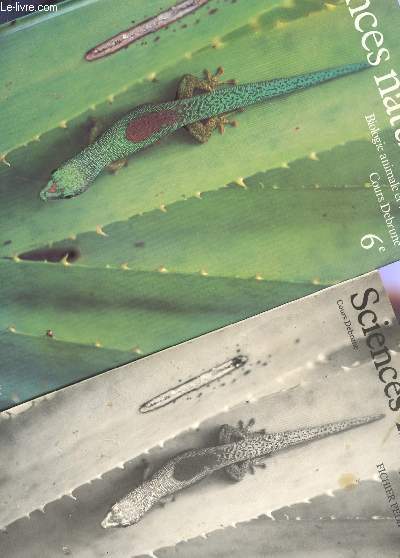 SICENCES NATURELLES - CLASSE DE 6 - EN 2 VOLUMES : LIVRE DE L'ELEVE (SPECIMEN) + FICHIER PEDAGOGIQUE / COURS DEBRUBNE / BIOLOGIE ANIMALE ET VEGETALE.