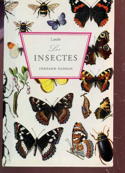 LES INSECTES.