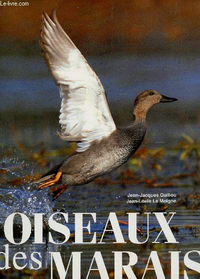 OISEAUX DES MARAIS.