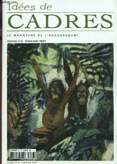 IDEES DE CADRES, LE MAGAZINE DE L'ENCADREMENT / N26 - FEV-MARS 2002 / 3 CADRES E N 1 - NANTES AU FILS DE L'EAU - LES COQS - PASSE PARTOUT EN MICRO CANNELE EN FORME DE TOIT - COULEURS ESSUYEES USEES MULTICOLORES - ENTRE 4 VERRES ETC....