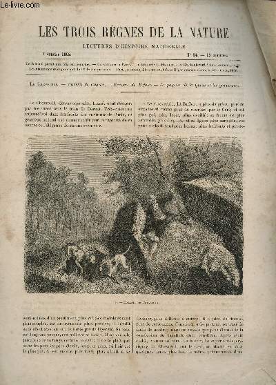 LES TROIS REGNES DE LA NATURE - LECTURES D'HISTOIRE NATURELLE / DEUXIEME ANNEE - N54 - 7 JANVIER 1865 / LE CHEVREUIL.