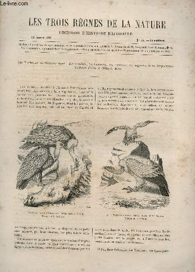 LES TROIS REGNES DE LA NATURE - LECTURES D'HISTOIRE NATURELLE / DEUXIEME ANNEE - N55 - 14 JANVIER 1865 / LES VAUTOURS.