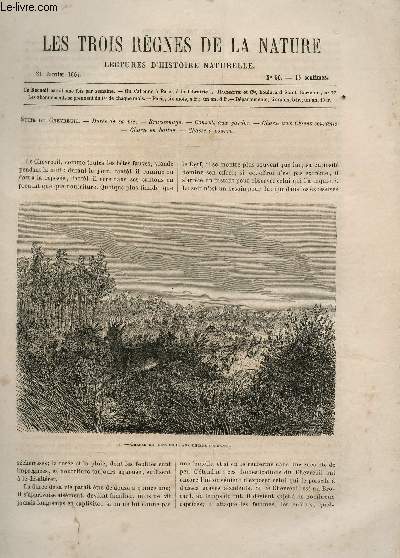 LES TROIS REGNES DE LA NATURE - LECTURES D'HISTOIRE NATURELLE / DEUXIEME ANNEE - N56 - 21 JANVIER 1865 / SUITE DU CHEVREUIL.