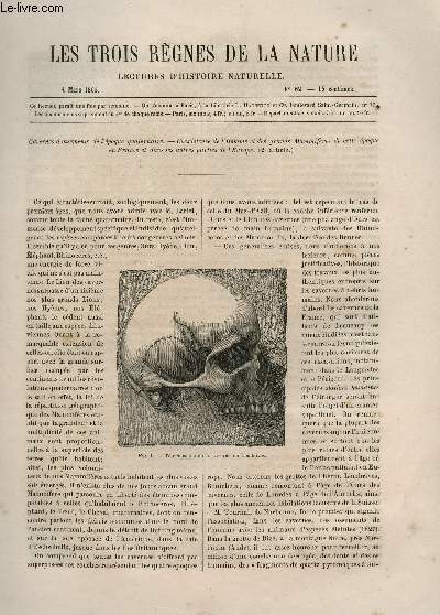 LES TROIS REGNES DE LA NATURE - LECTURES D'HISTOIRE NATURELLE / DEUXIEME ANNEE - N62 - 4 MARS 1865 / NATURELLE / DEUXIEME ANNEE - N61 - 25 FEVRIER 1865 / CAVERNES A OSSEMENTS DE L'EPOQUE QUATERNAIRE - CO EXISTENCE DE L'HOMME ET DES GRANDS MAMMIFERES..