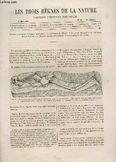 LES TROIS REGNES DE LA NATURE - LECTURES D'HISTOIRE NATURELLE / DEUXIEME ANNEE - N63 - 11 MARS 1865 / SOMMAIRE : CAVERNES A OSSEMENTS DE L'EPOQUE QUATERNAIRE - CO EXISTENCE DE L'HOMME ET DES GRANDS MAMMIFERES DE CETTE EPOQUE EN FRANCE, DANS LES ETC..