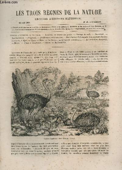 LES TROIS REGNES DE LA NATURE - LECTURES D'HISTOIRE NATURELLE / DEUXIEME ANNEE - N69 - 22 AVRIL 1865 / SUITE DE L'AUTRUCHE