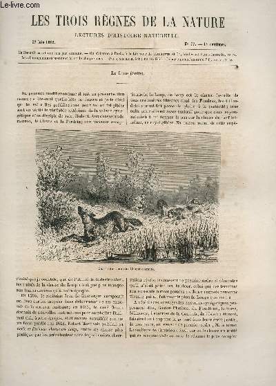 LES TROIS REGNES DE LA NATURE - LECTURES D'HISTOIRE NATURELLE / DEUXIEME ANNEE - N77 - 17 JUIN 1865 / LE LOUP (SUITE).