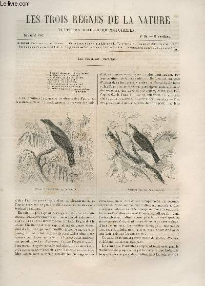 LES TROIS REGNES DE LA NATURE - LECTURES D'HISTOIRE NATURELLE / DEUXIEME ANNEE - N82 - 22 JUILLET 1865 / LES POUILLOTS (BECS FINS).