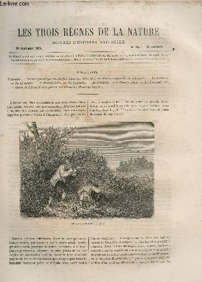 LES TROIS REGNES DE LA NATURE - LECTURES D'HISTOIRE NATURELLE / DEUXIEME ANNEE - N92 - 30 SEPTEMBRE 1865 / L'ALOUETTE - ... / LE COCHEVILS - LA COQUILLADE - L'ALOUETTE LULU ETC...