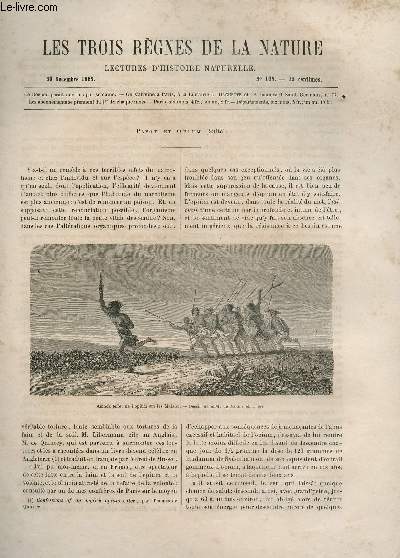 LES TROIS REGNES DE LA NATURE - LECTURES D'HISTOIRE NATURELLE / DEUXIEME ANNEE - N105- - 30 DECEMBRE 1865 / PAVOT ET OPIUM (SUITE).