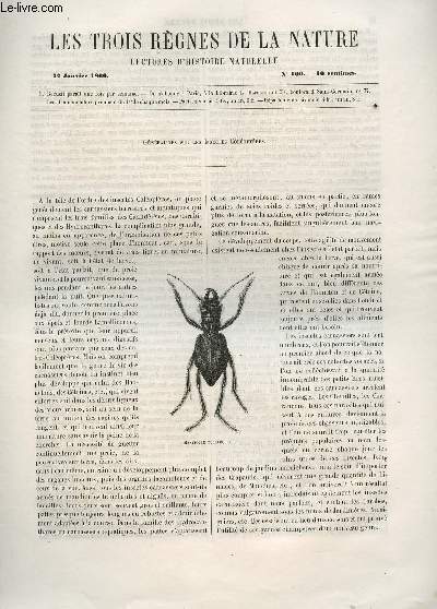 LES TROIS REGNES DE LA NATURE - LECTURES D'HISTOIRE NATURELLE / TROISIEME ANNEE - N109 - 27 JANVIER 1866 / GENERALITES SUR LES INSECTES COLEOPTERES.