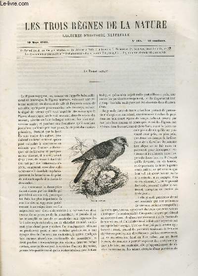 LES TROIS REGNES DE LA NATURE - LECTURES D'HISTOIRE NATURELLE / TROISIEME ANNEE - N115 - 10 MARS 1866 / LE PIGEON SAUVAGE.