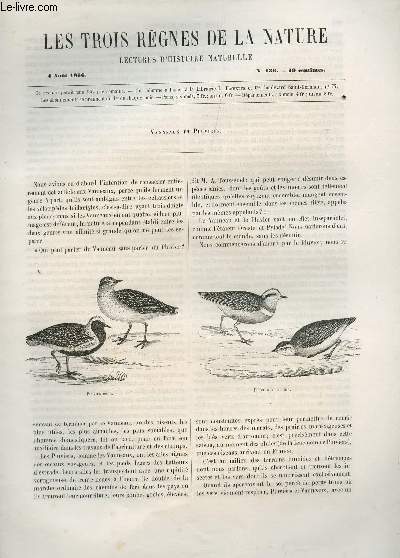 LES TROIS REGNES DE LA NATURE - LECTURES D'HISTOIRE NATURELLE / TROISIEME ANNEE - N136 - 4 AOUT 1866 / VANNEAUX ET PLUVIERS.