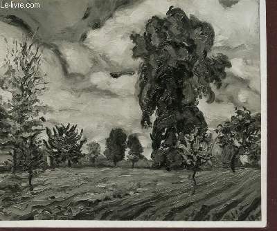 PHOTO-CARTE EN NOIR ET BLANC / BOULEURS : CHEMIN DU HAUT.