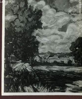 PHOTO-CARTE EN NOIR ET BLANC / PAYSAGE ET VILLAGE.